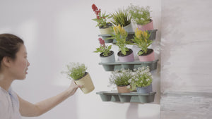 
            
                Load and play video in Gallery viewer, Watex Wheat Straw Indoor Vertical Garden
            
        