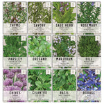 Culinary Herb Seed Collection by Seed Needs LLC