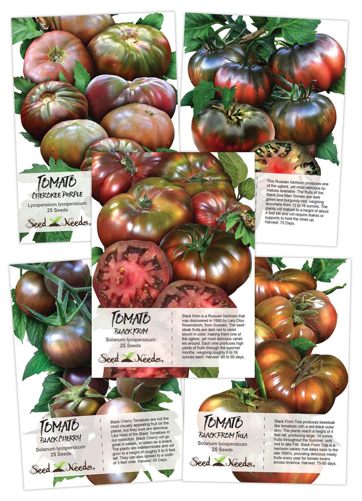 Black Tomato Seed Collection by Seed Needs LLC