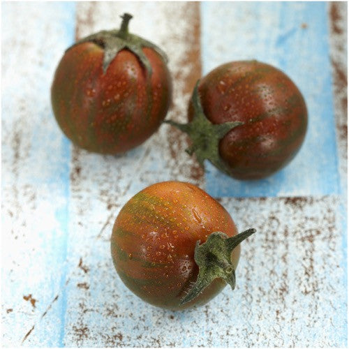 Black Cherry Tomato Seeds For Planting (Solanum lycopersicum) by Seed Needs LLC