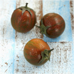 Black Cherry Tomato Seeds For Planting (Solanum lycopersicum) by Seed Needs LLC