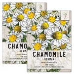 German Chamomile Herb Seeds For Planting (Matricaria recutita) by Seed Needs LLC