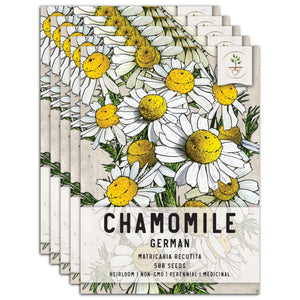 German Chamomile Herb Seeds For Planting (Matricaria recutita) by Seed Needs LLC