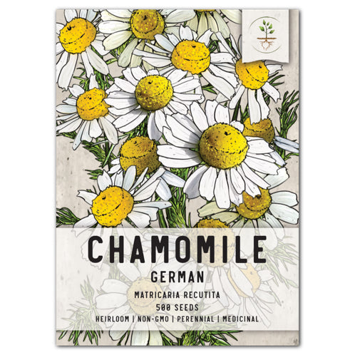 German Chamomile Herb Seeds For Planting (Matricaria recutita) by Seed Needs LLC