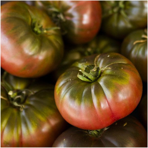 Cherokee Purple Tomato Seeds For Planting (Solanum lycopersicum) by Seed Needs LLC