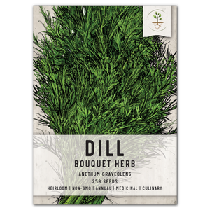 Dill Herb Seeds For Planting (Anethum graveolens) by Seed Needs LLC