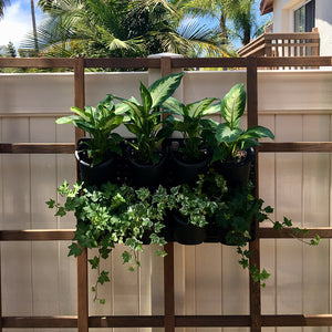 Expandable Green Wall with Built-in Micro Dripper - Single