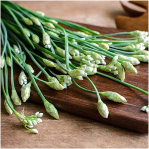 Garlic Chives Herb Seeds For Planting (Allium tuberosum) by Seed Needs LLC