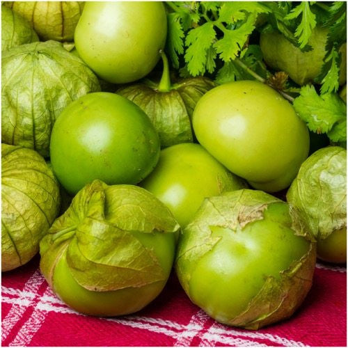 Grande Rio Verde Tomatillo Seeds For Planting (Physalis ixocarpa) by Seed Needs LLC
