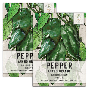 Ancho Grande Chili Pepper Seeds For Planting (Capsicum annuum) by Seed Needs LLC