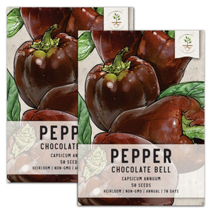 Chocolate Bell Pepper Seeds For Planting (Capsicum annuum) by Seed Needs LLC