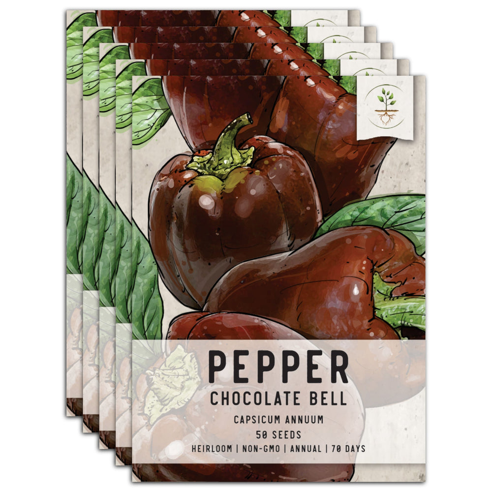 Chocolate Bell Pepper Seeds For Planting (Capsicum annuum) by Seed Needs LLC