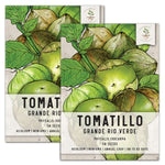 Grande Rio Verde Tomatillo Seeds For Planting (Physalis ixocarpa) by Seed Needs LLC