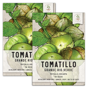 
            
                Load image into Gallery viewer, Grande Rio Verde Tomatillo Seeds For Planting (Physalis ixocarpa) by Seed Needs LLC
            
        