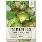 Grande Rio Verde Tomatillo Seeds For Planting (Physalis ixocarpa) by Seed Needs LLC