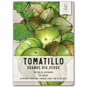 
            
                Load image into Gallery viewer, Grande Rio Verde Tomatillo Seeds For Planting (Physalis ixocarpa) by Seed Needs LLC
            
        