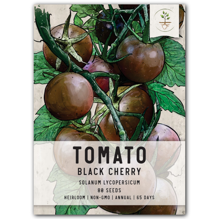 
            
                Load image into Gallery viewer, Black Cherry Tomato Seeds For Planting (Solanum lycopersicum) by Seed Needs LLC
            
        