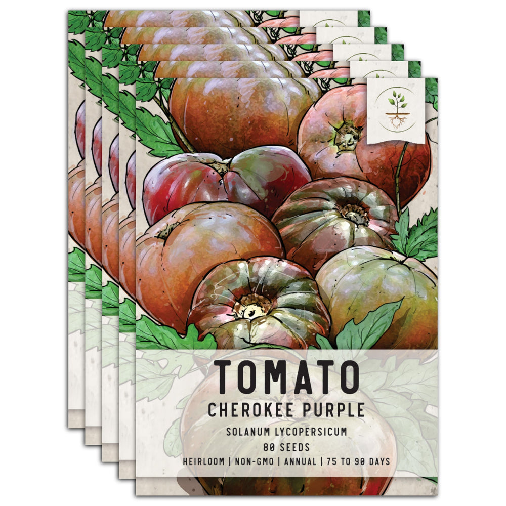 Cherokee Purple Tomato Seeds For Planting (Solanum lycopersicum) by Seed Needs LLC