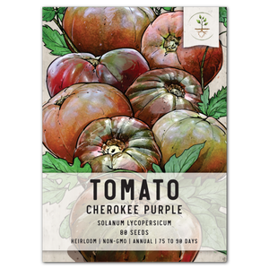 Cherokee Purple Tomato Seeds For Planting (Solanum lycopersicum) by Seed Needs LLC