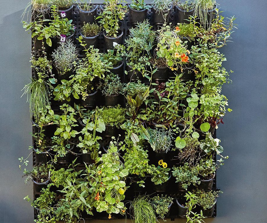 Expandable Green Wall with Built-In Micro Dripper - 4 Pack