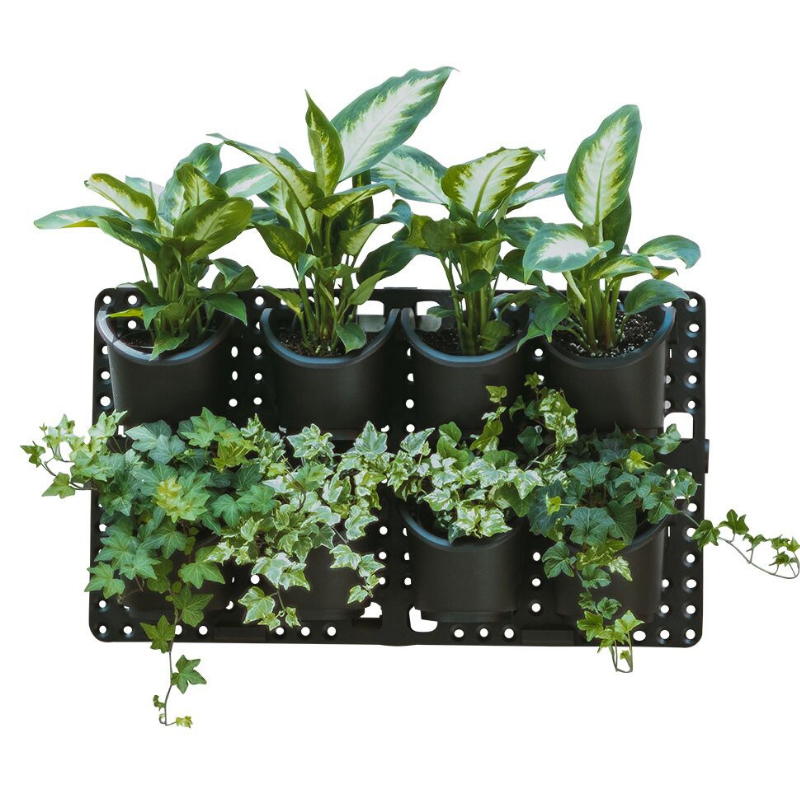 Expandable Green Wall with Built-in Micro Dripper - Single