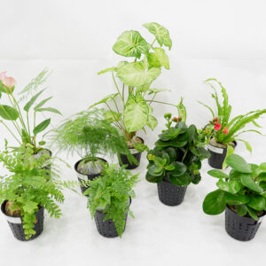 PP material 3 inch inner planter