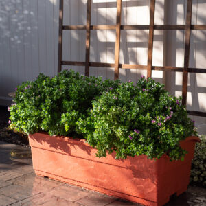 30L Self watering Planer