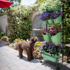 Metal Mobile Green Wall Double Frame