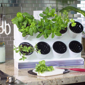 Countertop Gardening Green wall Kit Flowerpot