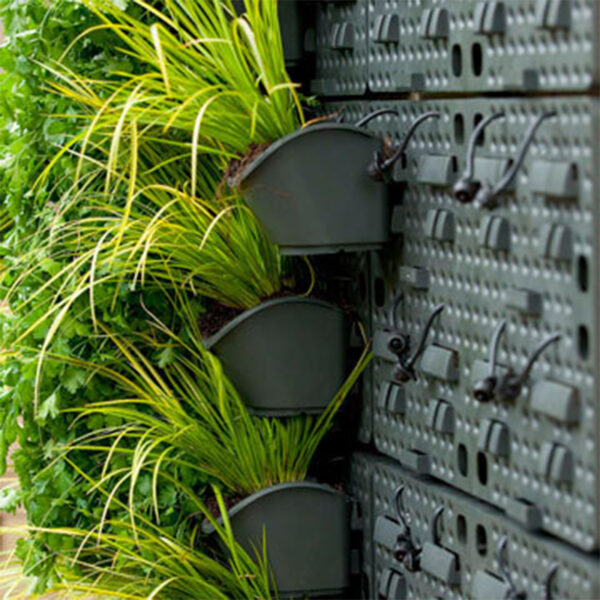 DIY Expandable Green Wall Kit