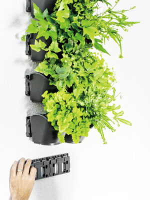 DIY planter Promotion Kit