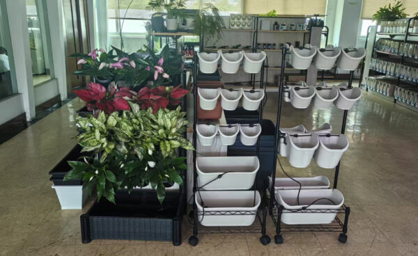 Indoor Freestanding Green wall