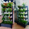 Indoor Freestanding Green wall
