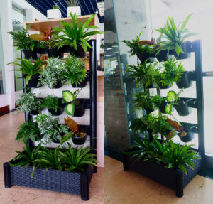Indoor Freestanding Green wall - Watex Green Living